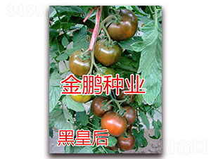 �ڻʺ�-���ҷ��ѷN��-�|�Z�r�I(y��)