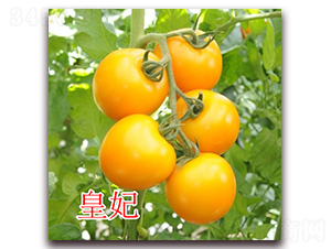 ����-���ҷ��ѷN��-�|�Z�r�I(y��)