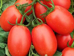 �t�_��-���ҷ��ѷN��-�|�Z�r�I(y��)