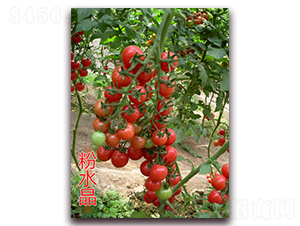 ��ˮ��-���ҷ��ѷN��-�|�Z�r�I(y��)