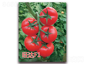 ���_(d��)F1-�t�����ѷN��-�|�Z�r(n��ng)�I(y��)