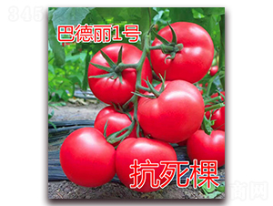 �͵���1̖-�۹����ѷN��-�|�Z�r(n��ng)�I(y��)