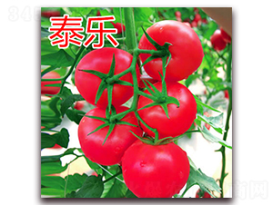 ̩��-�۹����ѷN��-�|�Z�r(n��ng)�I(y��)