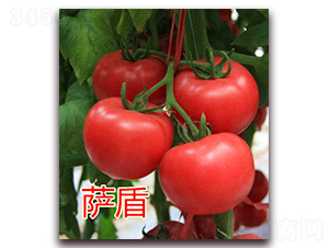 �_��-�۹����ѷN��-�|�Z�r�I(y��)