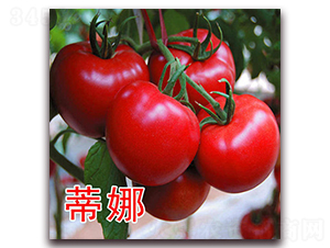 ����-�۹����ѷN��-�|�Z�r(n��ng)�I(y��)