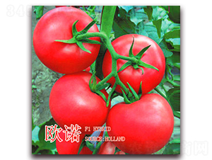 �W�Z�������ͣ�-�۹����ѷN��-�|�Z�r(n��ng)�I(y��)