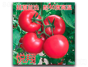 ����-�۹����ѷN��-�|�Z�r(n��ng)�I(y��)