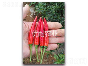 泰椒1102-辣椒種子-優(yōu)耐農(nóng)業(yè)