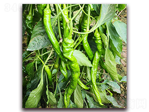 �]��1-�����N��-��?t��ng)��r(n��ng)�I(y��)