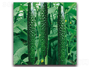 ����3-�S�ϷN��-� ��r(n��ng)�I(y��)