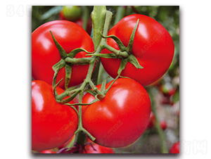 � ��t3-���ѷN��-� ��r(n��ng)�I(y��)