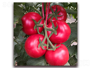 ����1-���ѷN��-� ��r(n��ng)�I(y��)