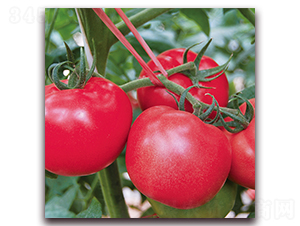 � �1085-���ѷN��-� ��r(n��ng)�I(y��)