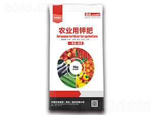 �r(n��ng)�I(y��)��⛷�-�r(n��ng)�Y���F(tu��n)