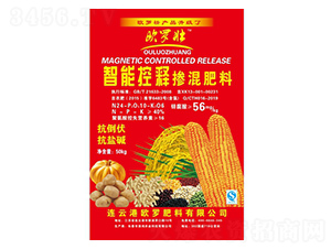 ��ጓ������-�W�_��-�����r�I(y��)