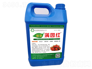 �M�@�t-��(qi��ng)��-������