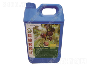 ���Ҍ���Һ�w��-�����w�w�t-������