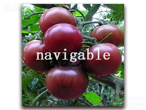 ��ؐ��-���ҷ��ѷ��ѷN��-����