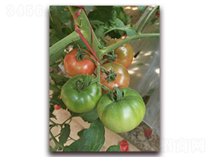 ���F��-�۹����ѷN��-����