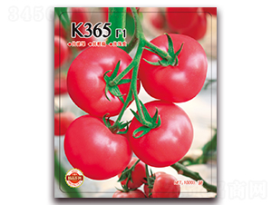 K365-�۹����ѷN��-����