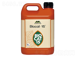 �M������̼���-����Ƽ�