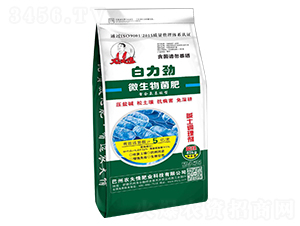 ΢�������-������-�r(n��ng)����