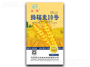 �P(y��ng)ݗ��10̖-С���N��-���A�N�I(y��)