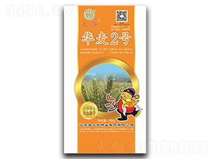 �A��2̖-С���N��-���A�N�I(y��)