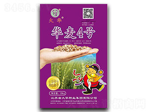 �A��4̖-С���N��-���A�N�I(y��)