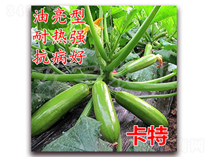 ����-�����J�N��-�f���r(n��ng)�I(y��)