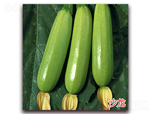 ɳ��-�����J�N��-�f���r(n��ng)�I(y��)