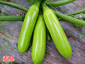 ����-�����J�N��-�f���r(n��ng)�I(y��)