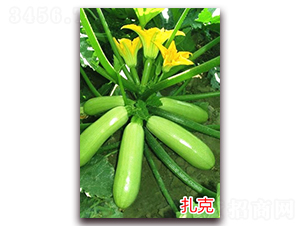 ����-�����J�N��-�f���r(n��ng)�I(y��)