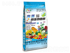 海藻微生物菌肥-佰卓生物