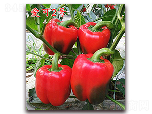 ��(��i)��2̖(h��o)-�����N��-�f(w��n)���r(n��ng)�I(y��)