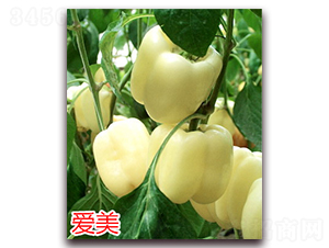 ��(��i)��-�����N��-�f(w��n)���r(n��ng)�I(y��)