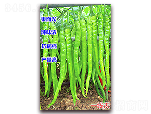 һ����-�����N��-�f(w��n)���r(n��ng)�I(y��)