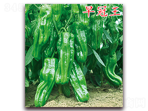 �����-�����N��-�f(w��n)���r(n��ng)�I(y��)