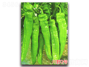 ��Ұ2̖(h��o)-�����N��-�f(w��n)���r(n��ng)�I(y��)