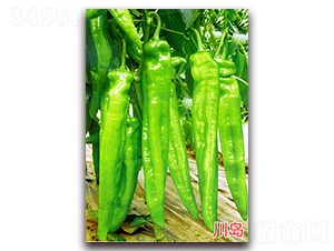 ���u-�����N��-�f(w��n)���r(n��ng)�I(y��)