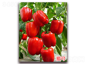 ��(��i)��-�����N��-�f(w��n)���r(n��ng)�I(y��)