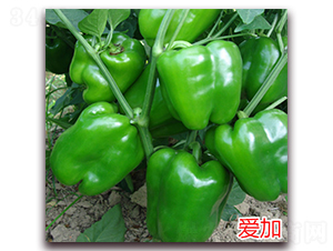 ��(��i)��-�����N��-�f(w��n)���r(n��ng)�I(y��)