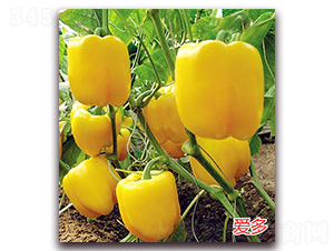 ��(��i)��-�����N��-�f(w��n)���r(n��ng)�I(y��)