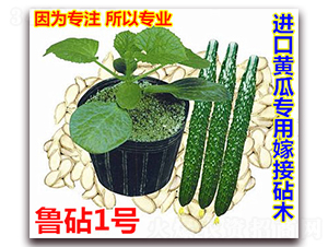 ����1̖-�S�ϷN��-�f���r(n��ng)�I(y��)