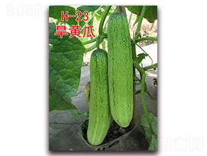 ���S��H-23-�S�ϷN��-�f���r(n��ng)�I(y��)