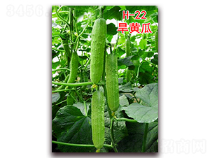 ���S��H-22-�S�ϷN��-�f���r(n��ng)�I(y��)