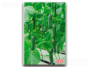 ���e-ˮ���S�ϷN��-�f���r(n��ng)�I(y��)