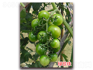 �G����-����С���t���N��-�f���r(n��ng)�I(y��)