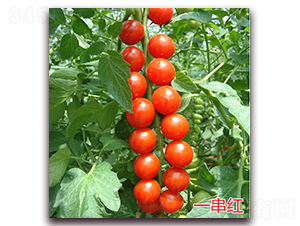 һ���t-����С���t���N��-�f���r(n��ng)�I(y��)