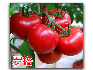 �_��-�۹����ѷN��-�f(w��n)���r(n��ng)�I(y��)